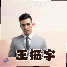 王振宇